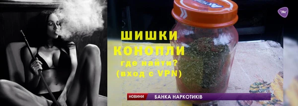 дурь Бронницы